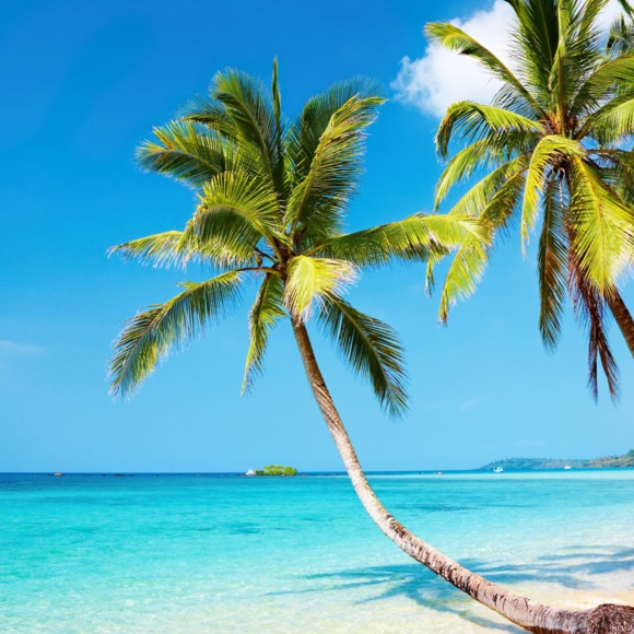 Meet your Posher, Katrina - Picture 1 of 1